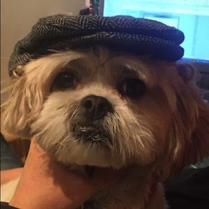 Meet your Posher, Paul